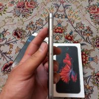 اپل iPhone 6s با حافظهٔ ۶۴ گیگابایت|موبایل|تهران, مسعودیه|دیوار