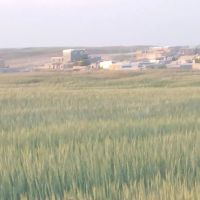 فروش-ده-هکتار-و-نیم-زمین-کشاورزی-دیم