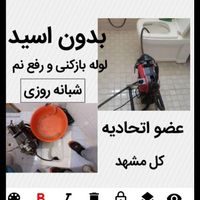لوله بازکن رفع نم55%تخفیف 24ساعت بدون۱سیدکل شهرچاه|خدمات پیشه و مهارت|مشهد, وکیل‌آباد|دیوار