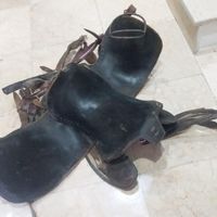 زین اسب|اسب و تجهیزات اسب‌سواری|تهران, سبلان|دیوار