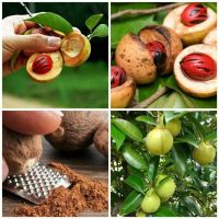 3هزار-متر-برای-اجاره-فومن