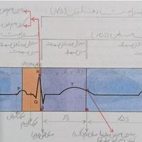 تدریس خصوصی زیست شناسی نهایی و کنکوری ( تضمینی )|خدمات آموزشی|تهران, خواجه نصیر طوسی|دیوار