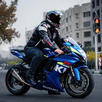 gsxr 1000 750 600 gsx CB CBR mt9 1300 ninja 250 r6|موتورسیکلت|تهران, آجودانیه|دیوار