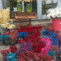 فرصتی برای اشتغال|استخدام صنعتی، فنی، مهندسی|اراک, |دیوار