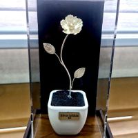 گل نقره|صنایع دستی و سایر لوازم تزئینی|اصفهان, سرتاوه|دیوار
