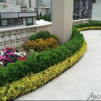 سمپاشی وهرستکاری و باغبانی در همه نقاط تهران|خدمات باغبانی و درختکاری|تهران, نیاوران|دیوار
