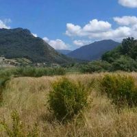 زمین-باغ-ویلایی