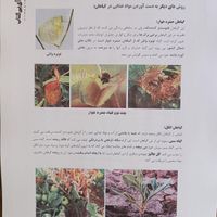 کتاب زیست دکتر حنیف عظیمی ۱۴۰۴ جدید جزوه|کتاب و مجله آموزشی|تهران, میدان انقلاب|دیوار