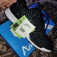 zx 8000 snow|کیف، کفش، کمربند|قم, پردیسان|دیوار