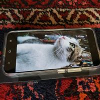 سامسونگ Galaxy S22+ 5G ۲۵۶ گیگابایت|موبایل|تهران, تهران‌سر|دیوار