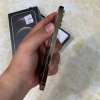 گوشی موبایل آیفونiphone 12 pro طلایی حافظه 256 گیگ|موبایل|تهران, میدان انقلاب|دیوار