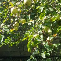 فروش-زمین-به-مساحت200متر