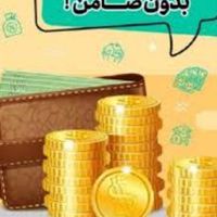 وام۴۵۰ میلیونی|خدمات مالی، حسابداری، بیمه|کرج, شهرک بنفشه|دیوار