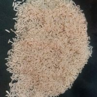برنج طارم هاشمی،لاشه طارم هاشمی،طارم فجرگرگان|خوردنی و آشامیدنی|تهران, تهرانپارس شرقی|دیوار