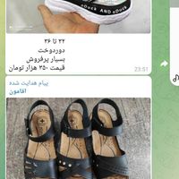 کفش و صندل و راحتی|کیف، کفش، کمربند|تهران, استخر|دیوار
