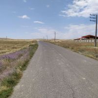 زمین-اکازیون-با-سند-ششدانگ-تکبرگ