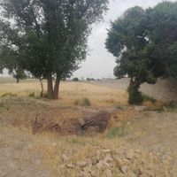 زمین ۱۰۰۰ متری،  ۲۰۰۰ متری، ۲/۵ هکتار|فروش دفتر صنعتی، کشاورزی، تجاری|نظرآباد, |دیوار