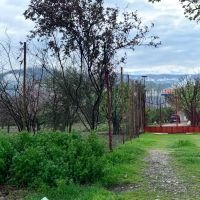 فروش-زمین-باغی-با-خانه-باغ-دو-طبقه