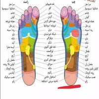 درمان سیاتیک|خدمات آرایشگری و زیبایی|تهران, پونک|دیوار