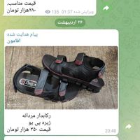 کفش و صندل و راحتی|کیف، کفش، کمربند|تهران, استخر|دیوار