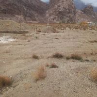 فروش-زمین-زراعی-دارای-سندتکبرگ-بامتراژ3000مترمربع