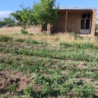 زمین-کشاورزی-در-دیزج-اباد