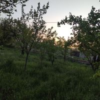 دو قطعه باغ در روستای ترپ بر جاده|فروش خانه و ویلا|تبریز, |دیوار