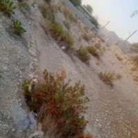 فروش زمین ۱۱۰۰ متری|فروش زمین و ملک کلنگی|تخت, |دیوار