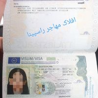 مهاجرت تحصیلی و کاری آسان و مطمئن|خدمات حمل و نقل|شیراز, اصلاح‌نژاد|دیوار