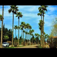 فروش-زمین-800متری-در-شهرک-خزرشهرجنوبی