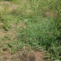فروش-200-متر-زمین-در-بهنمیر-بابلسر