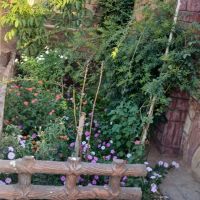 ملک-جاده-باغرود-کوچه-شهید-عصمتی