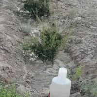 زمین-کشاورزی-دشت-بجد
