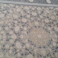 فرش وفرش کناره درحدنونونونونو|فرش|تهران, لویزان|دیوار