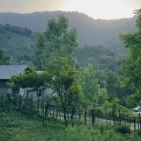 زمین-1000متری-مسکونی-نزدیک-رودخونه-ویودار