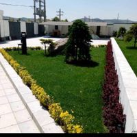 فروش گل خدمات کاشت گل باغبانی|خدمات باغبانی و درختکاری|تهران, نواب|دیوار