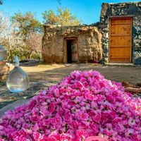 تور جشنواره گل و گلاب میمند|تور و چارتر|شیراز, فرهنگ شهر|دیوار
