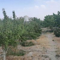 ویلا باغ|فروش خانه و ویلا|اصفهان, ناژوان|دیوار