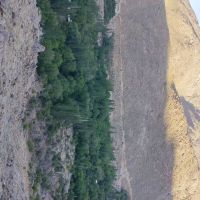 زمین-قیمت-مناسب-سعید-اباد-تفت