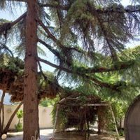 ونک مستغلات ۶۰۰متر ۷اتاق (۱۰پارکینگ)|اجارهٔ دفتر کار، اتاق اداری، مطب|تهران, ونک|دیوار