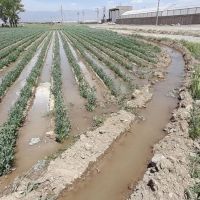فروش-زمین-کشاورزی-6900متری