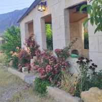 باغ-پیربنو-شاپور-جان-یاس-معاوضه-با-ماشین