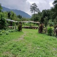 کلبه-جنگلی-تک-خونه-شیک-منظره-دار