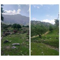 زمین