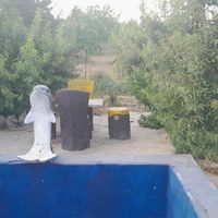 ویلا باغ|فروش خانه و ویلا|اصفهان, ناژوان|دیوار
