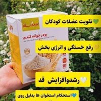 پودر جوانه گندم|خوردنی و آشامیدنی|دلیجان, |دیوار