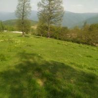 فروش-زمین-در-افراتخته