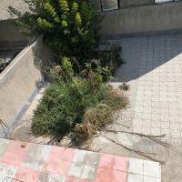 اجاره-آپارتمان-همکف-راه-جدا