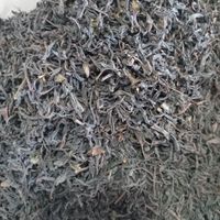 چای بهاره ۱۴۰۴ از باغات شمال|خوردنی و آشامیدنی|مشهد, احمدآباد|دیوار