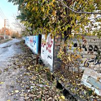 باغچه جدول بندی شده*۳۲۲ متر،بدون بهره|فروش زمین و ملک کلنگی|تهران, عبدل‌آباد|دیوار